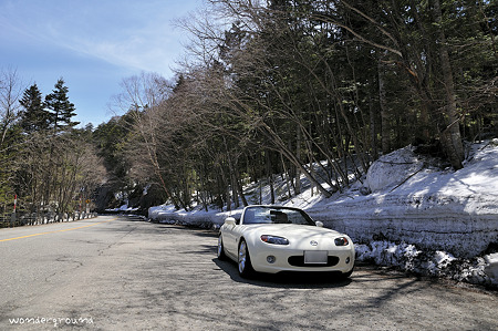 _DSC1884tj