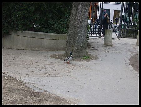 P2380315