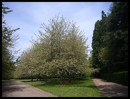 P2430820