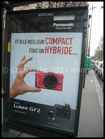 P2640981