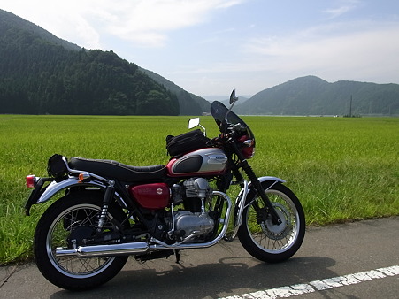 RIMG1080_org