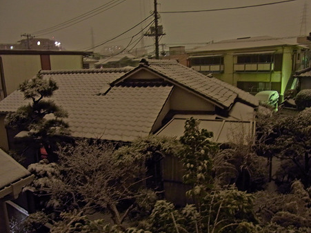 白い夜