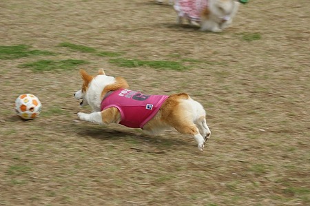 DSC07763