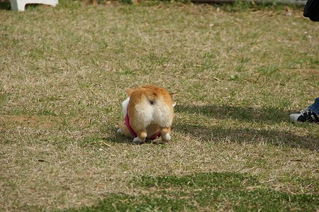 DSC07785