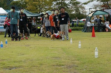 DSC03360