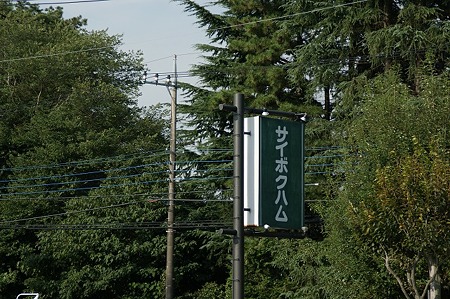 DSC03846