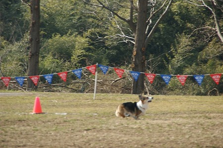 DSC08553
