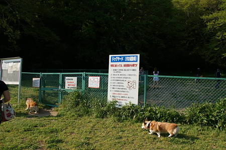 DSC00215