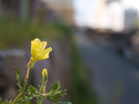 R0010295