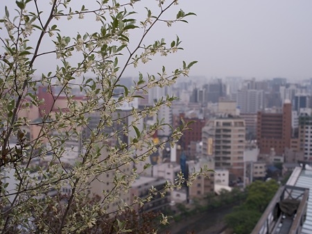 R0010547