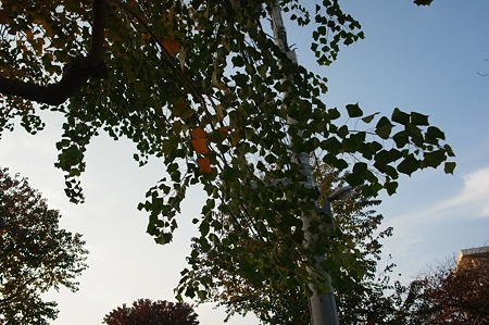 R0011623