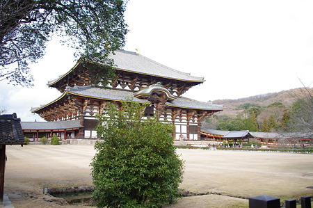 画像 017
