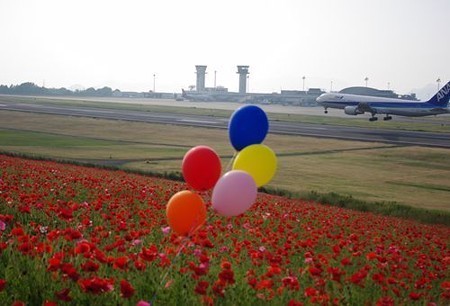 IMGP5124_0603