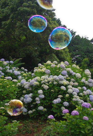 IMGP6040_0609