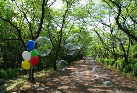 IMGP6547_0510