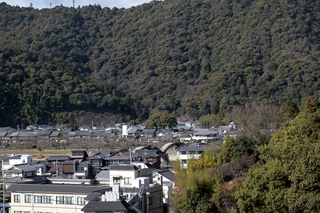 椎尾八幡から見た錦帯橋