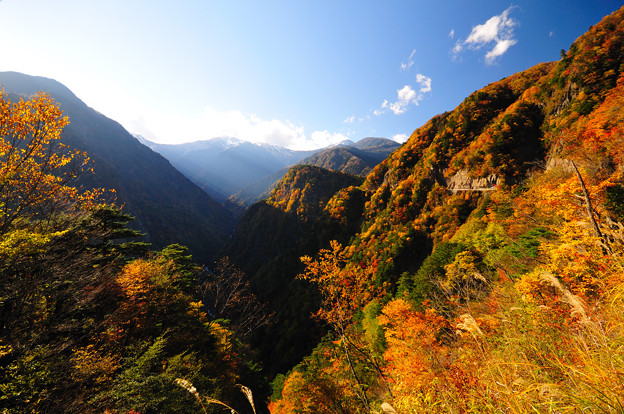 白鳳渓谷 三段紅葉 写真共有サイト フォト蔵