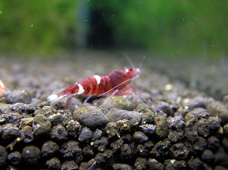 2010 09/10 001