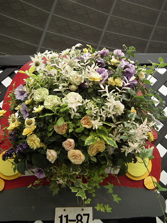 DSCF0320