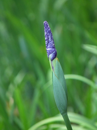 DSCF0121
