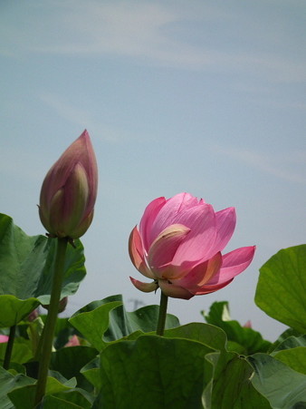 DSCF0174