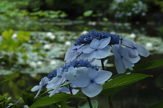 DSCF0059