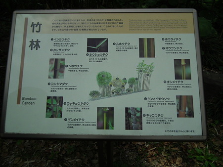 画像 189