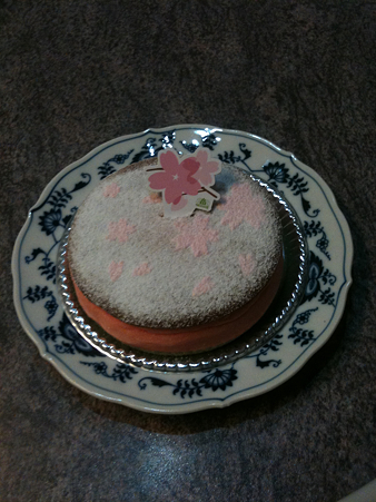モロゾフ サクラチーズケーキ
