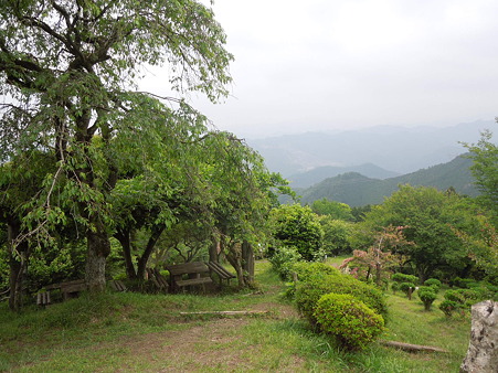 DSCN1888