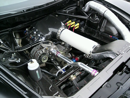 P1000010