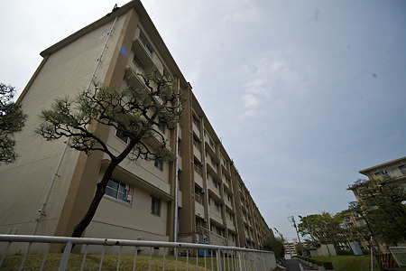 akabanedai090418020