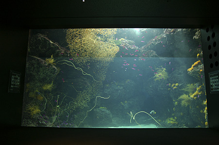 fukushima060908001