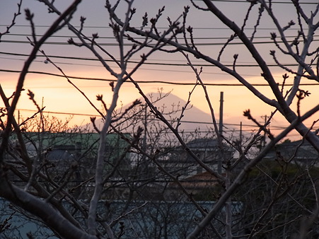 夕暮れ富士山