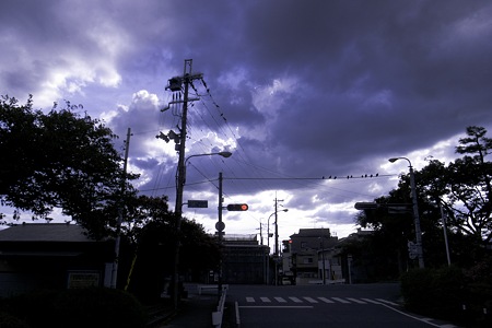 2010-08-29の空