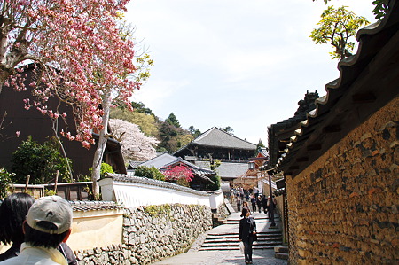 二月堂裏参道2010年04月04日_DSC_1250