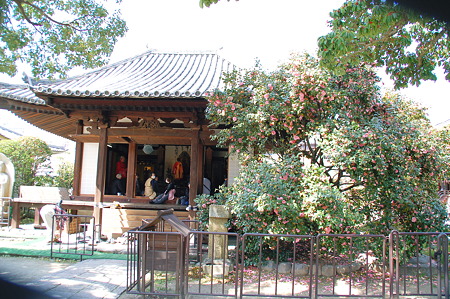 2010年04月04日伝香寺本堂