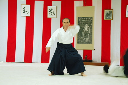 2010年05月05日武蔵野合気道連盟合同稽古