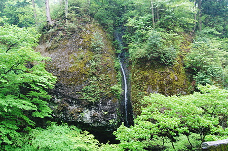 2010年05月23日_DSC_1850