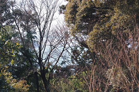 2011年01月09日_DSC_0067