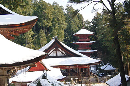 2011年01月09日_DSC_0135 滋賀長命寺