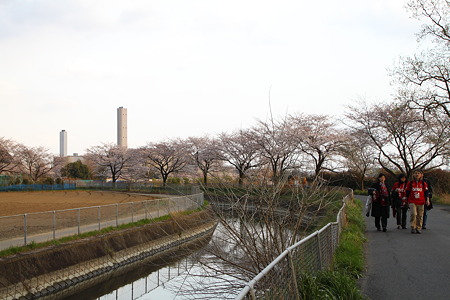 IMG_0181-桜並木の下を歩くレッズサポ。ただスタジアムまではここから歩いたら40分かかりそうな…