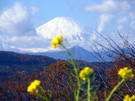 富士山