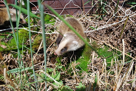 DSC_0186 DSC_0186