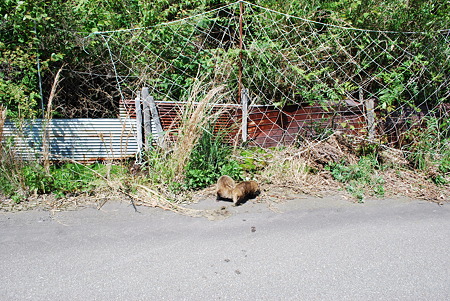 DSC_0189 DSC_0189