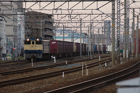 IMGP6893