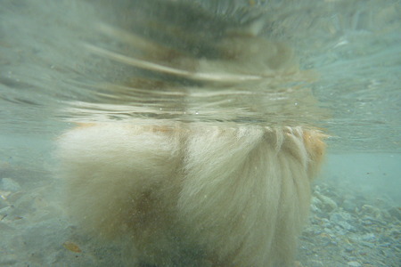 P1010557