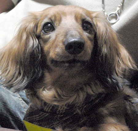 wanda