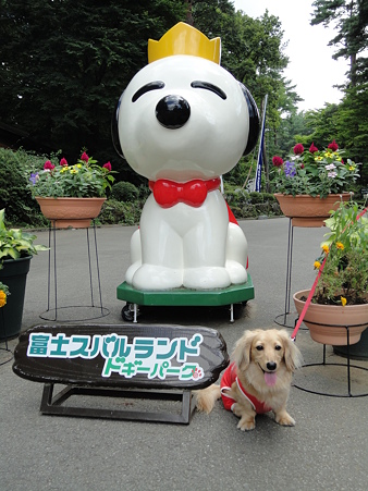 ドギーパーク