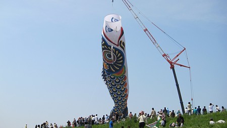 IMG_0410