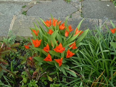 P1020515